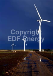 A wind farm