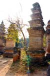 Each tower commemorates a famous Shaolin monk