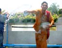 Even Buddhist monks get in on the water splashing action